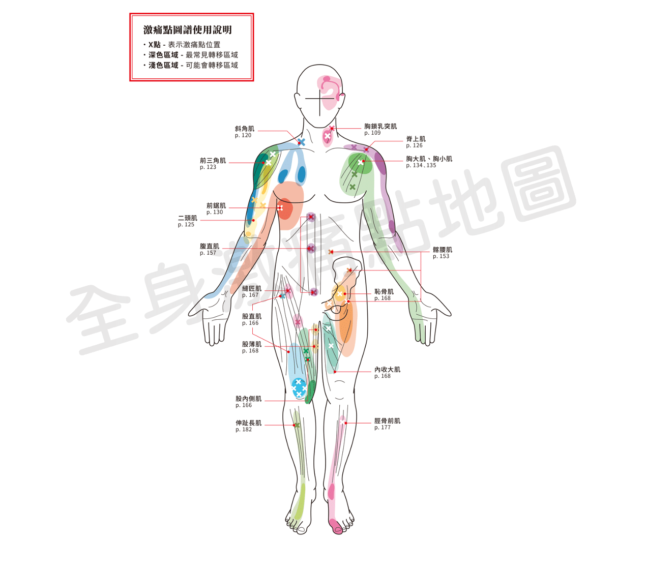 全身激痛點地圖1