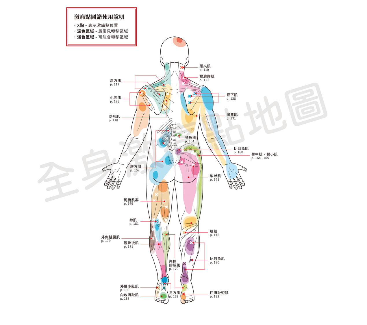 全身激痛點地圖2