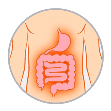 內臟激痛點 visceral pain